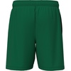 image:imageOuterstuff FIFA World Cup 2026 Mens Mesh Pull On Elastic Waist ShortBrazilgreen