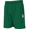 image:imageOuterstuff FIFA World Cup 2026 Mens Mesh Pull On Elastic Waist ShortMexicogreen