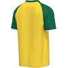 image:imageOuterstuff FIFA World Cup 2026 Mens Soccer Raglan TopBrazil