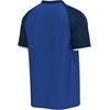 image:imageOuterstuff FIFA World Cup 2026 Mens Soccer Raglan TopFrance