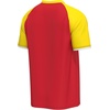 image:imageOuterstuff FIFA World Cup 2026 Mens Soccer Raglan TopSpain