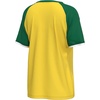 image:imageOuterstuff FIFA World Cup 2026 Womens Soccer Raglan Sleeve TopBrazil
