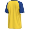 image:imageOuterstuff FIFA World Cup 2026 Womens Soccer Raglan Sleeve TopColombia