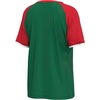 image:imageOuterstuff FIFA World Cup 2026 Womens Soccer Raglan Sleeve TopMexico