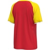 image:imageOuterstuff FIFA World Cup 2026 Womens Soccer Raglan Sleeve TopSpain