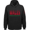 image:imageOuterstuff Unisex Kids FIFA World Cup Country Fade Fleece HoodieBlack