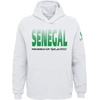 image:imageOuterstuff Unisex Kids FIFA World Cup Country Fade Fleece HoodieWhite