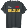 image:imageFIFA World CUP26 Belgium ShortSleeve Soccer JerseySlate GreyWhite